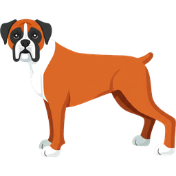 Boxer icon