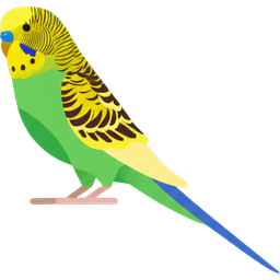 Budgerigar icon