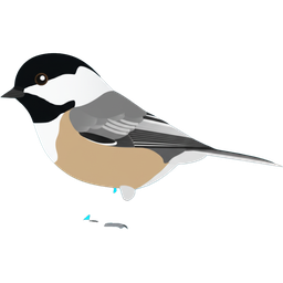Chickadee icon