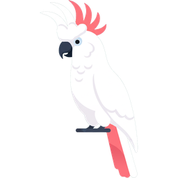 Cockatoo icon