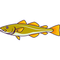 Cod icon