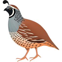 Common Quail icon