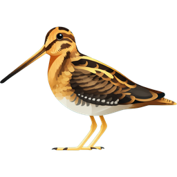 Common Snipe icon