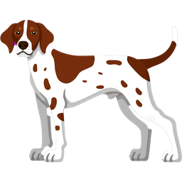 English Pointer icon