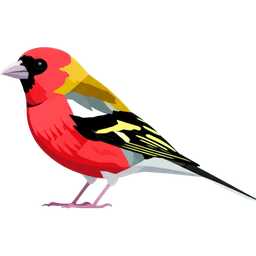 Finch icon