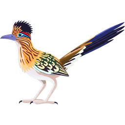 Greater Roadrunner icon
