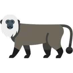 Lion-tailed Macaque icon