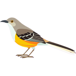 Northern Mockingbird icon