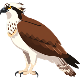 Osprey icon