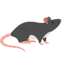 Rat icon