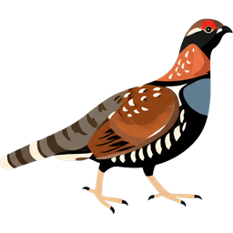 Ruffed Grouse icon