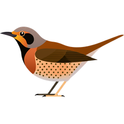 Song Thrush icon