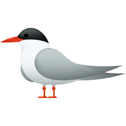 Tern icon