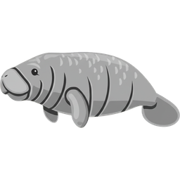 West Indian Manatee icon