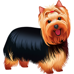 Yorkshire Terrier icon