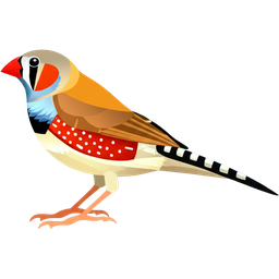 Zebra Finch icon