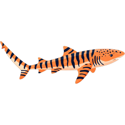 Zebra Shark icon